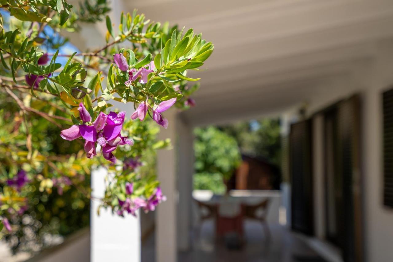 Bettina & Birgitta - Formentera Break Villa Es Pujols Exterior photo